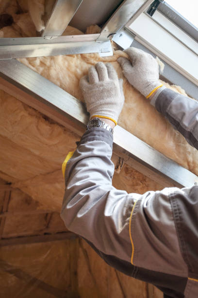 Professional Insulation Contractor in Monticello, LA